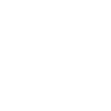 Our Vision